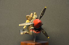 DSC 0012