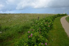 20170606 03 Omaha Beach